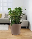 Lechuza Color CLASSICO 43 all in one