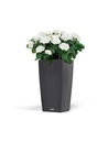 Lechuza CUBICO Cottage 40 all in one granit