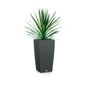 Lechuza CUBICO Cottage 40 all in one granit