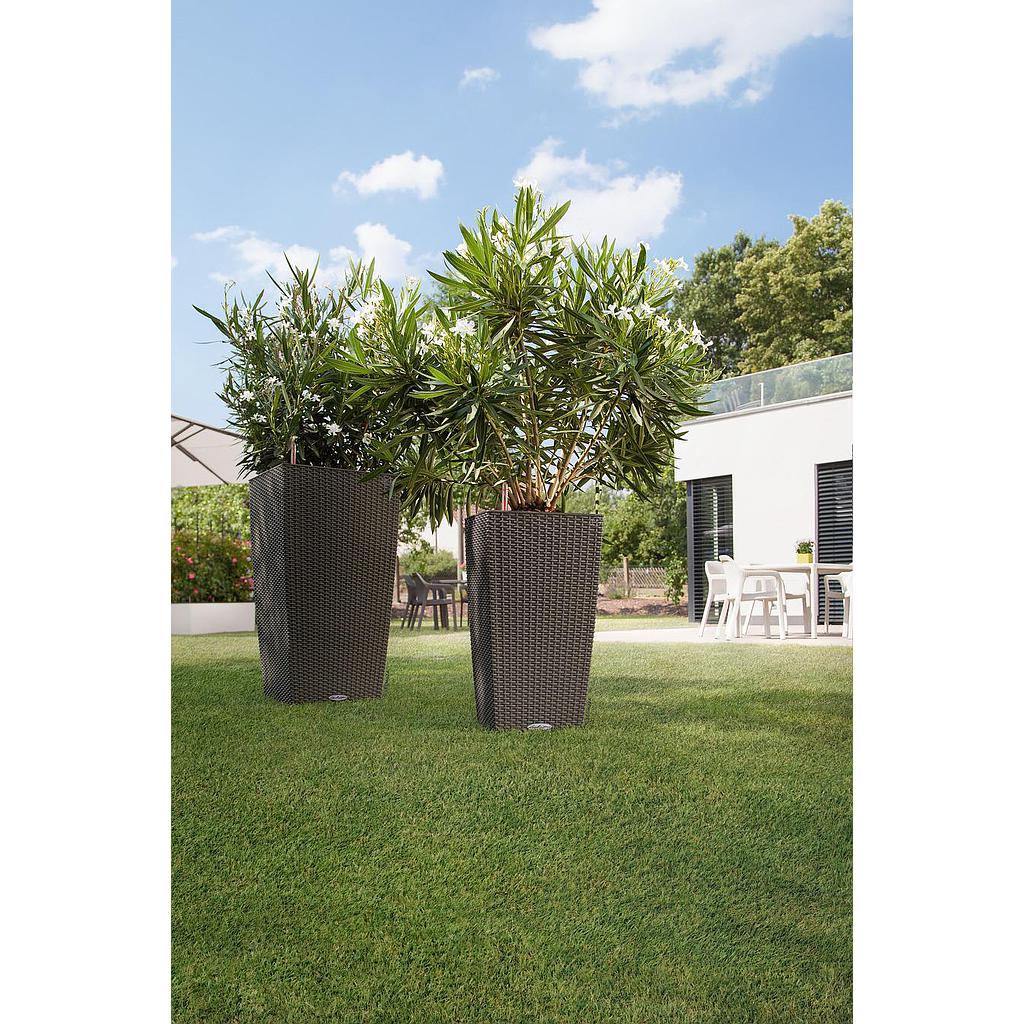 Lechuza CUBICO Cottage 40 all in one mokka