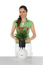 Lechuza PURO Color 20 all in one sandbraun