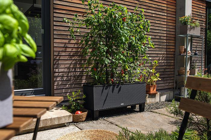 Lechuza TRIO Cottage 40 - All-In-One graphite black