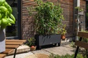 Lechuza TRIO Cottage 40 - All-In-One graphite black