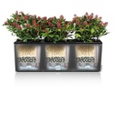 Lechuza TRIO Cottage 40 - All-In-One graphite black