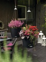 Lechuza NIDO Cottage - All-In-One graphite black