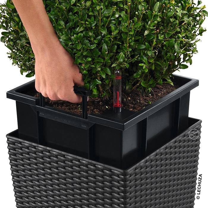 Lechuza CUBE Cottage 50 - All-In-One graphite black