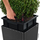 Lechuza CUBE Cottage 50 - All-In-One graphite black