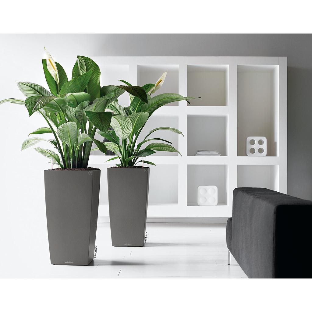 Lechuza Premium Collection CUBICO 22 all in one