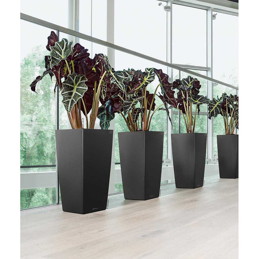 Lechuza Premium Collection CUBICO 22 all in one