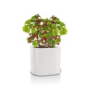 Lechuza PILA Planter 35 lichtgrau