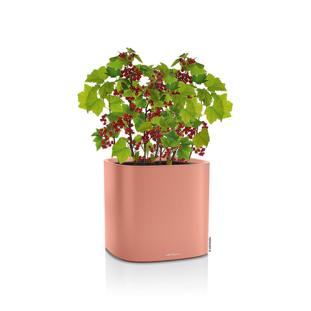 Lechuza PILA Planter 35 korallrot