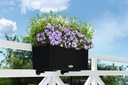 Lechuza Trend Collection BALCONERA Cottage 50 all in one graphitschwarz