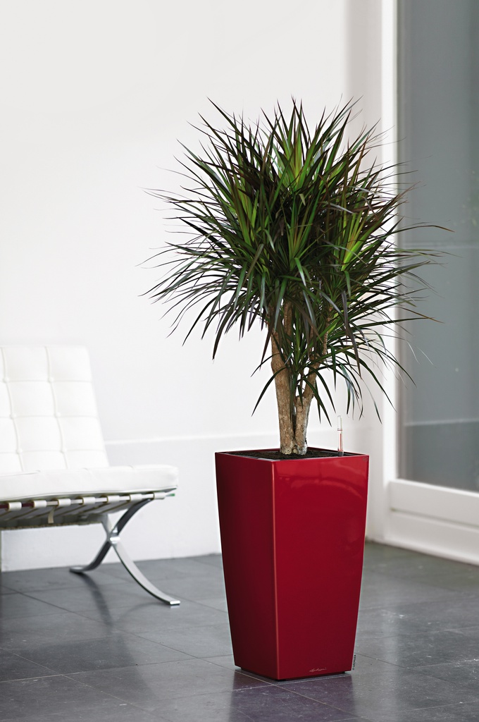 Lechuza Einzelgefäss Premium CUBICO 30 scarlet rot hochglanz