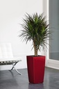 Lechuza Einzelgefäss Premium CUBICO 30 scarlet rot hochglanz
