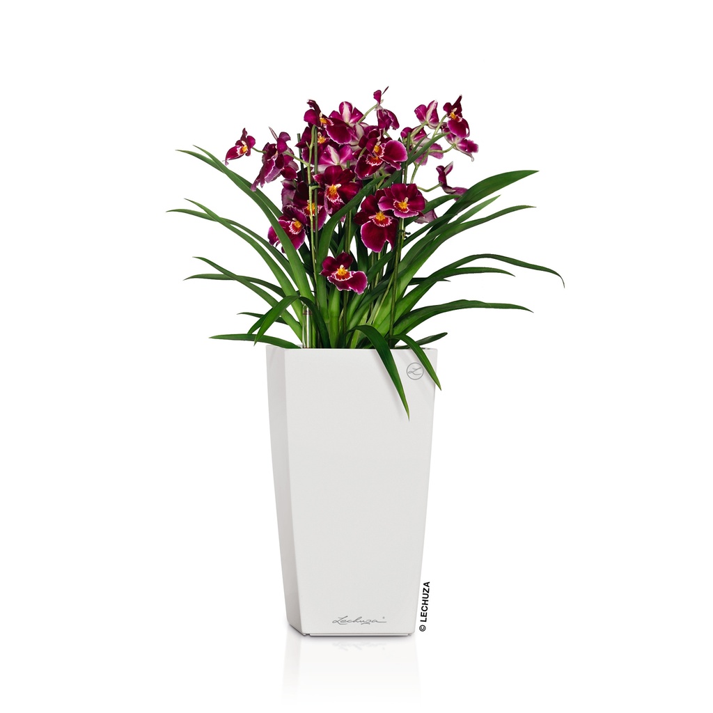 Lechuza Einzelgefäss Premium CUBICO 22 weiss hochglanz