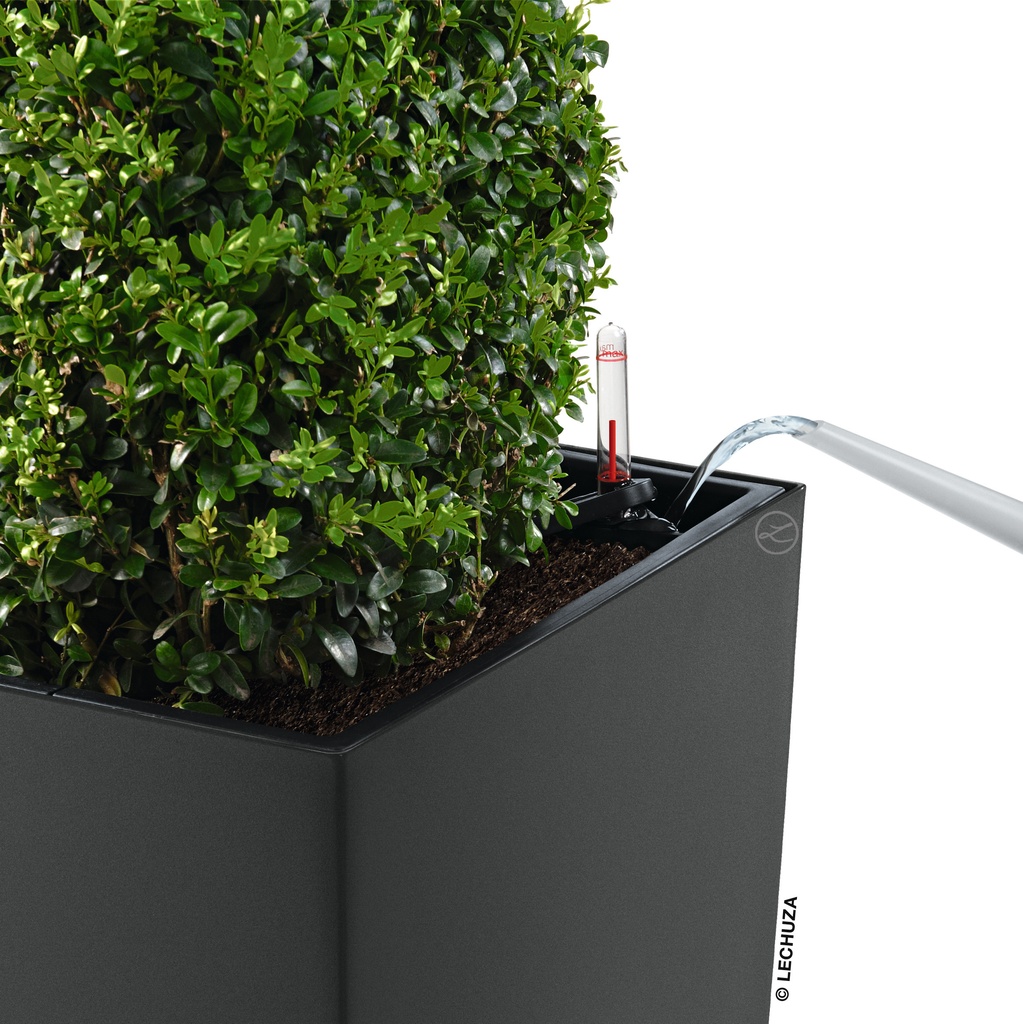 Lechuza Einzelgefäss Premium CUBICO 30 anthrazit metallic