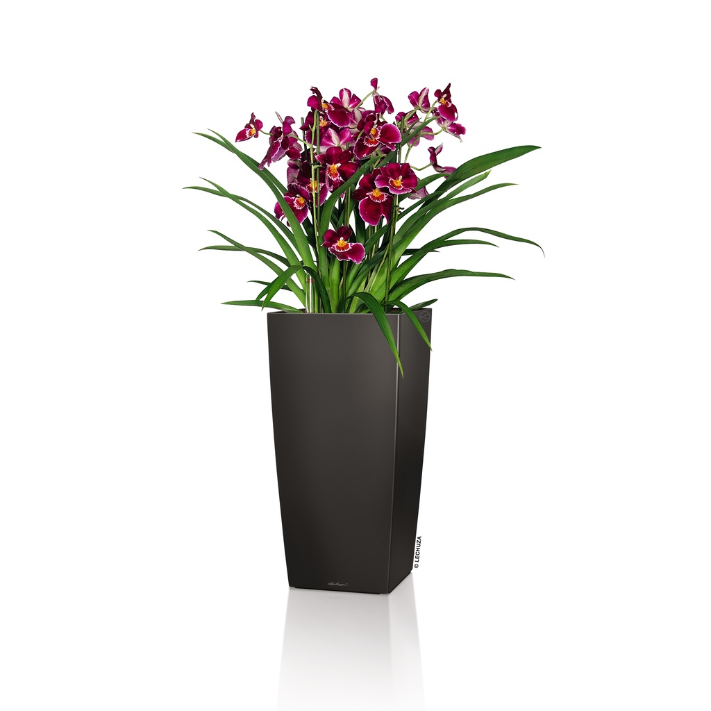 Lechuza Einzelgefäss Premium CUBICO 40 anthrazit metallic