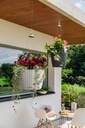 Lechuza Nido Cottage 35, weiss