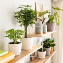 le_classico_color_deco_add05