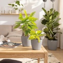 le_classico_color_2025_add05