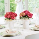 le_deltini-10_product_addi_02