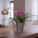 le_deltini-10_product_addi_03