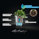 le_deltini_product_addi_bws_DE