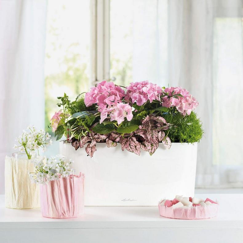 le_delta20_product_addi_02