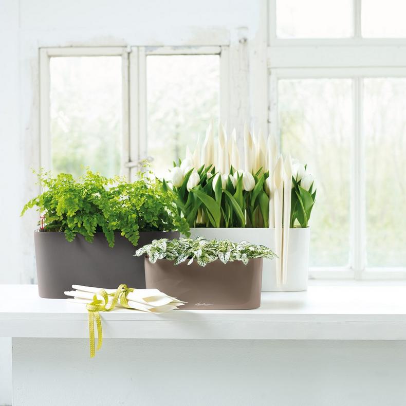 le_delta20_product_addi_05