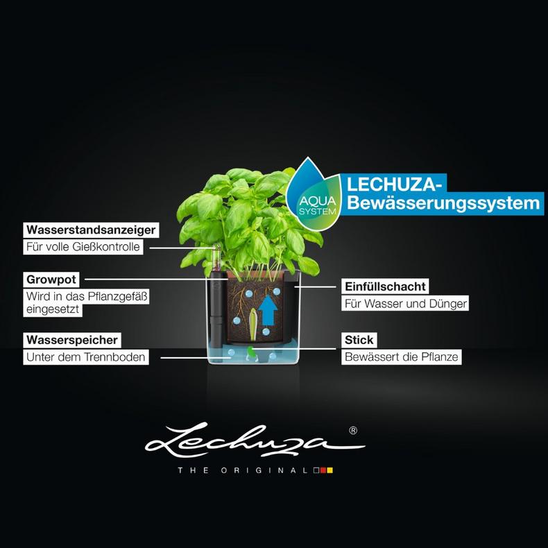 le_cube_small_BWS_DE