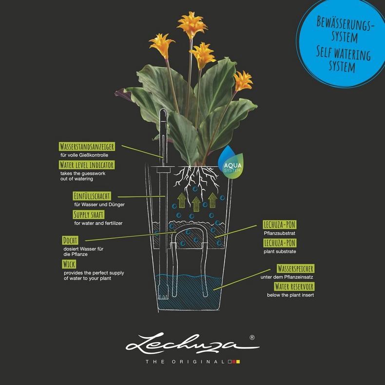 le_maxicubi_product_addi_sws