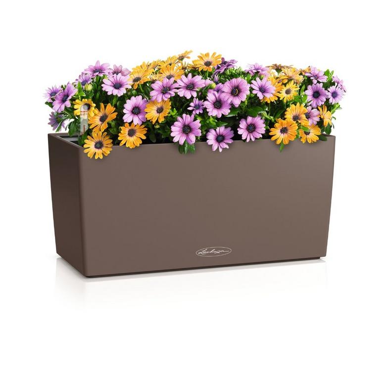 Lechuza BALCONERA Color 40 muskat