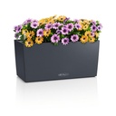 Lechuza BALCONERA Color 40 schiefergrau