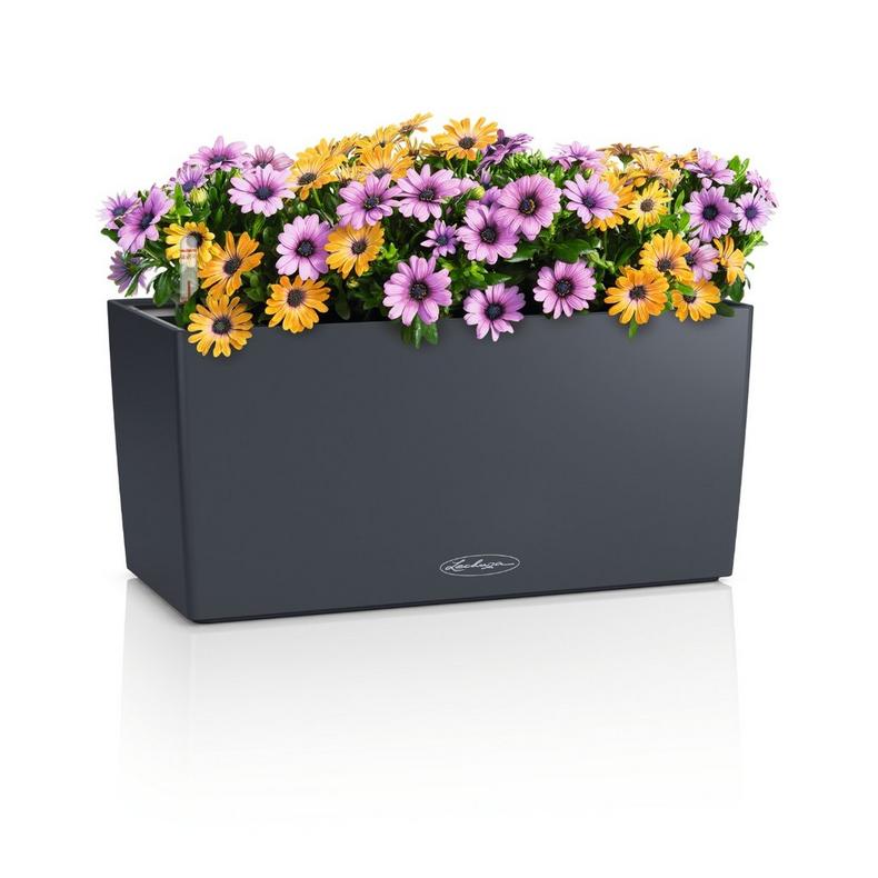 [L-15478] Lechuza BALCONERA Color 40 schiefergrau