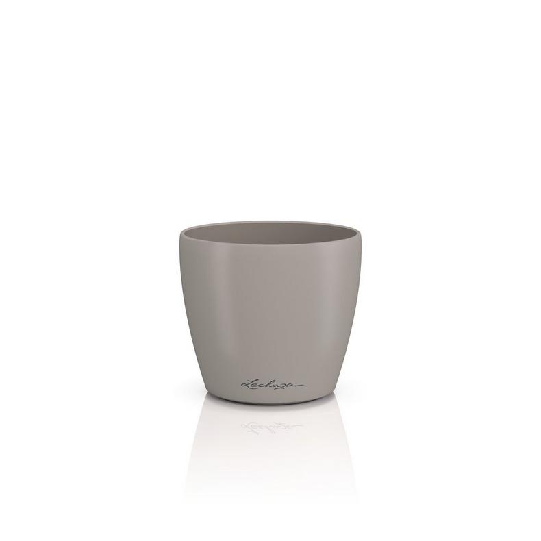 Lechuza CLASSICO Color DECO 10 sandbraun