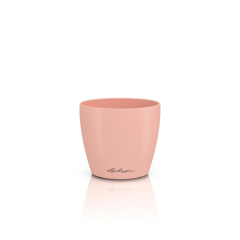 Lechuza CLASSICO Color DECO 10 magnolie