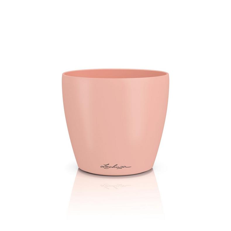 Lechuza CLASSICO Color DECO 14 magnolie