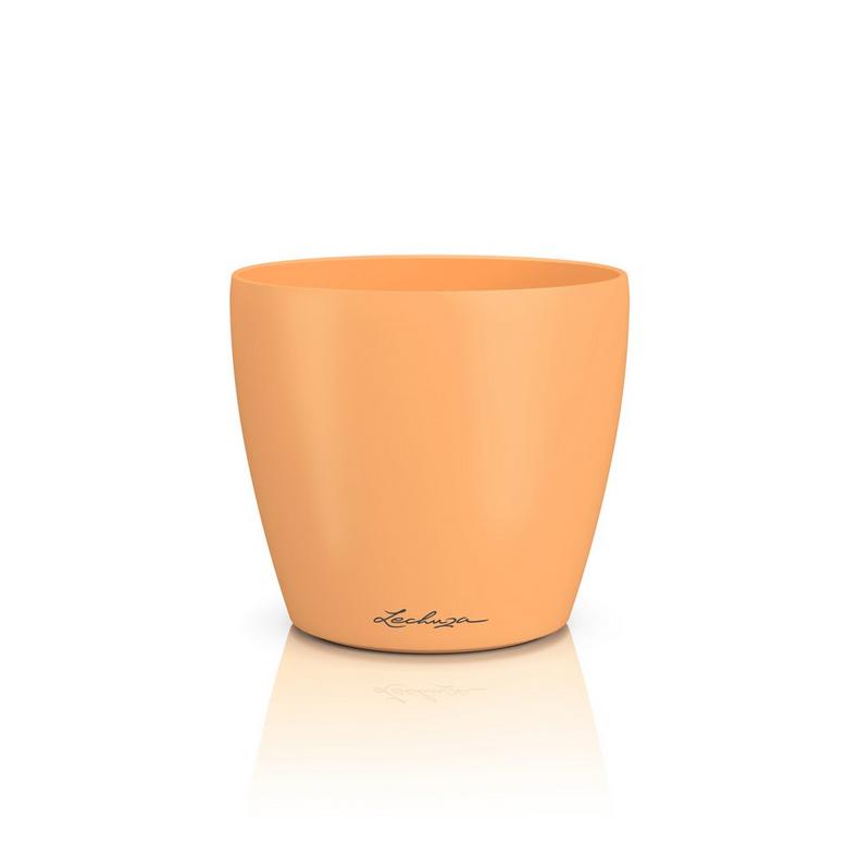 Lechuza CLASSICO Color DECO 14 papaya