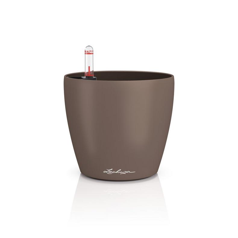 Lechuza CLASSICO Color 14 muskat