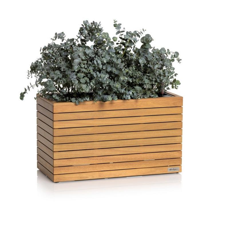 Lechuza PALO Natural Wood 80 wide low - Komplettset FSC® 100% Eukalyptusholz Eukalyptus