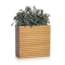 Lechuza PALO Natural Wood 80 wide high - Komplettset FSC® 100% Eukalyptusholz Eukalyptus