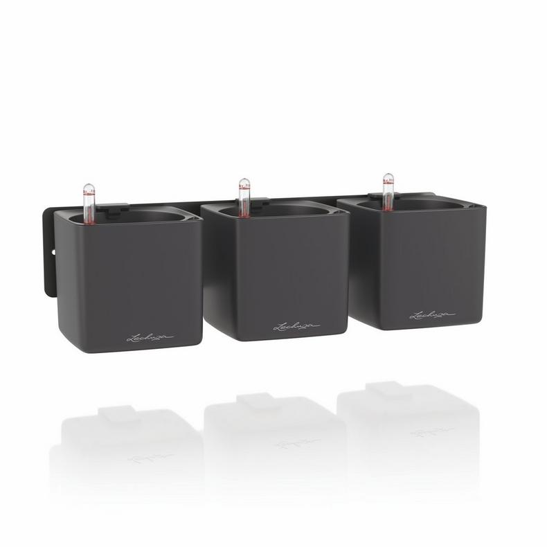 Lechuza Green Wall Home Kit  basaltgrau matt