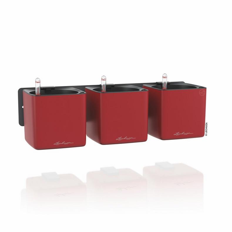 Lechuza Green Wall Home Kit  scarlet rot matt