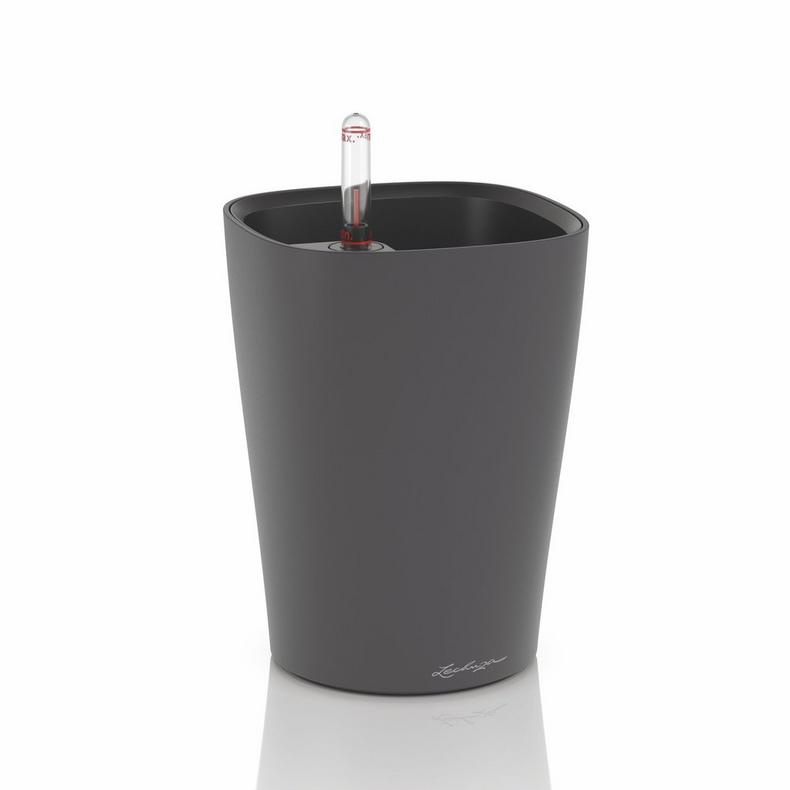 Lechuza DELTINI  basaltgrau matt