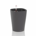 Lechuza DELTINI  basaltgrau matt