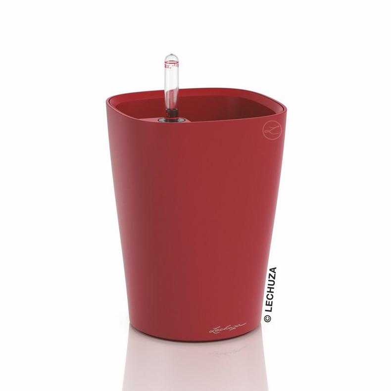 Lechuza DELTINI  scarlet rot matt