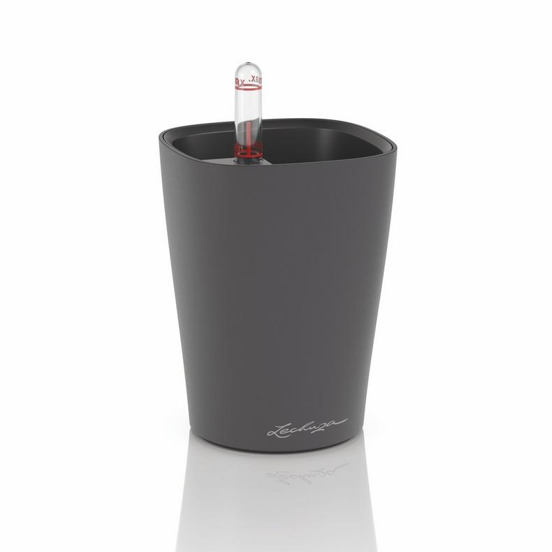 Lechuza MINI DELTINI  basaltgrau matt