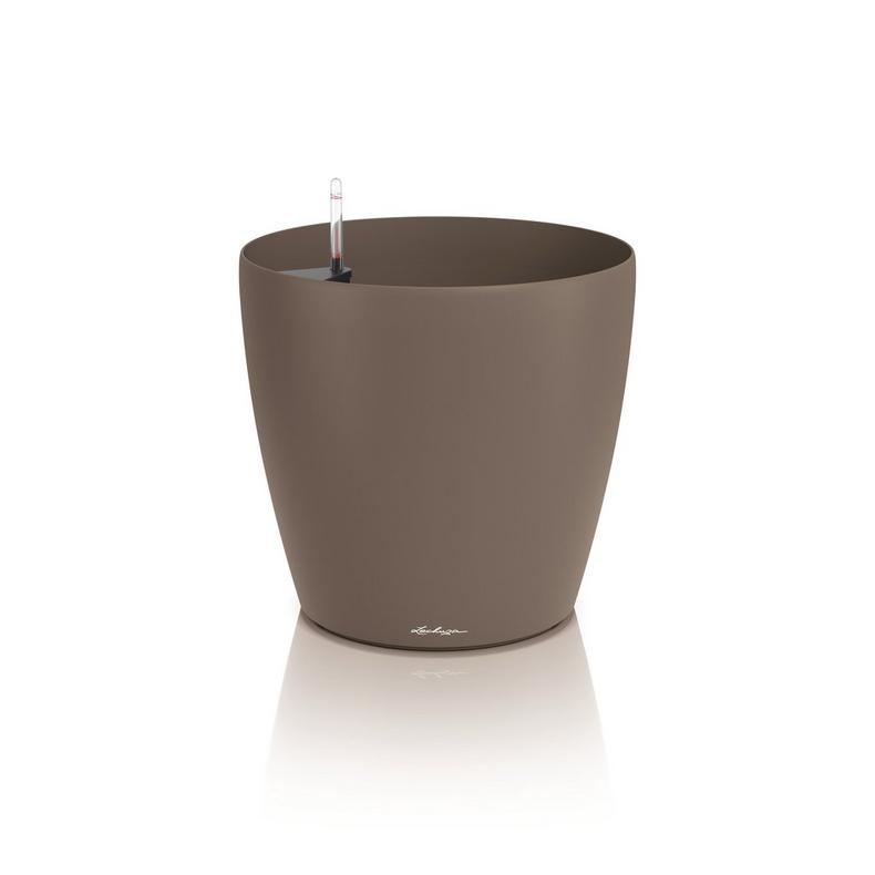 Lechuza CLASSICO Color 50  muskat