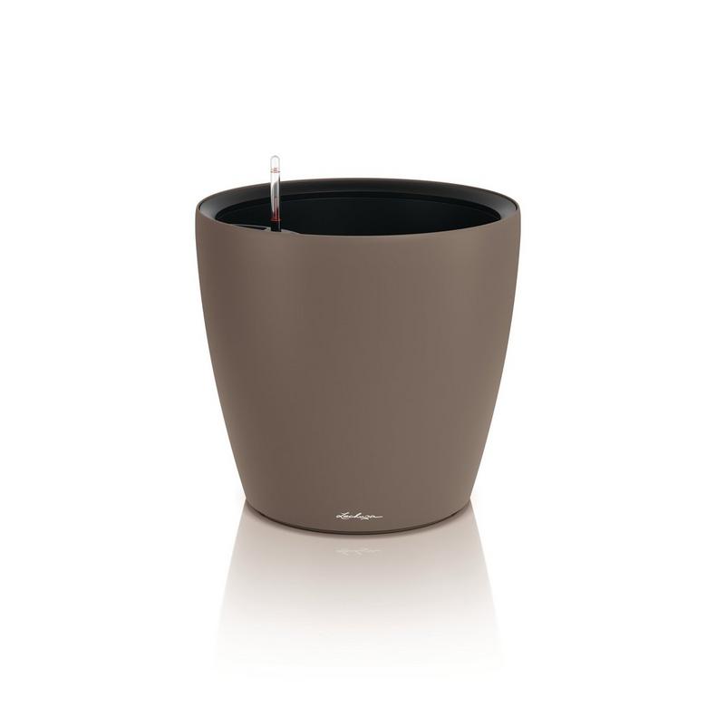 Lechuza CLASSICO Color LS 50  muskat