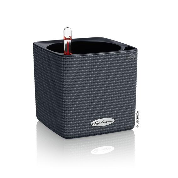[L-13384] Lechuza CUBE Color 14 schiefergrau